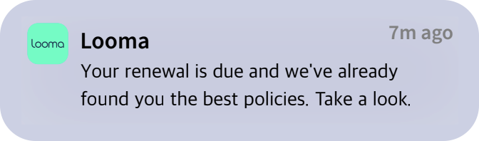 Looma price tracking